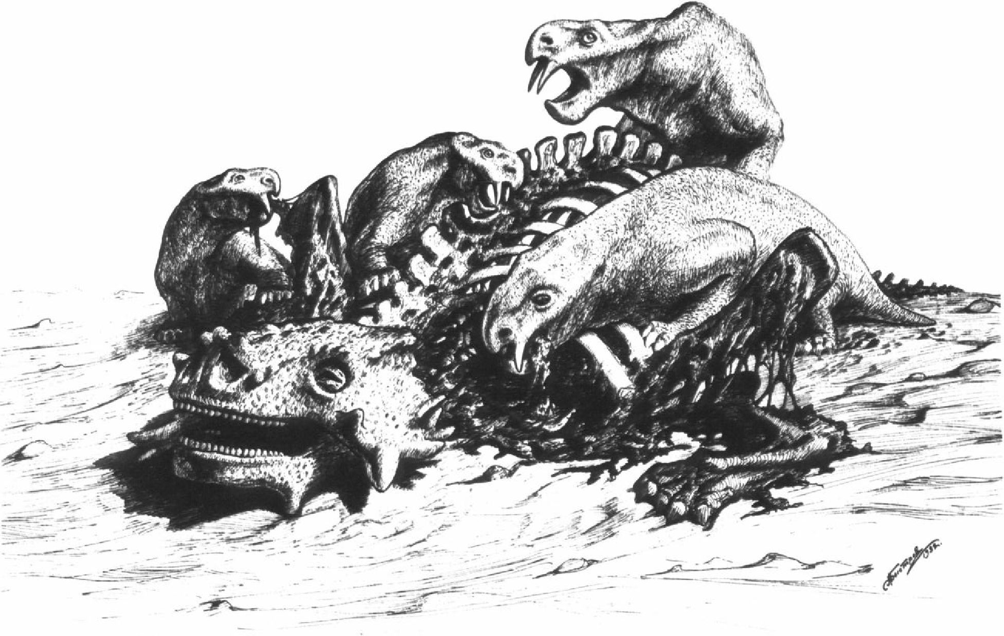 Дицинодонты поедают труп скутозавра (Время Великих Озер на Северной Двине). Рисунок А.П. Быстрова