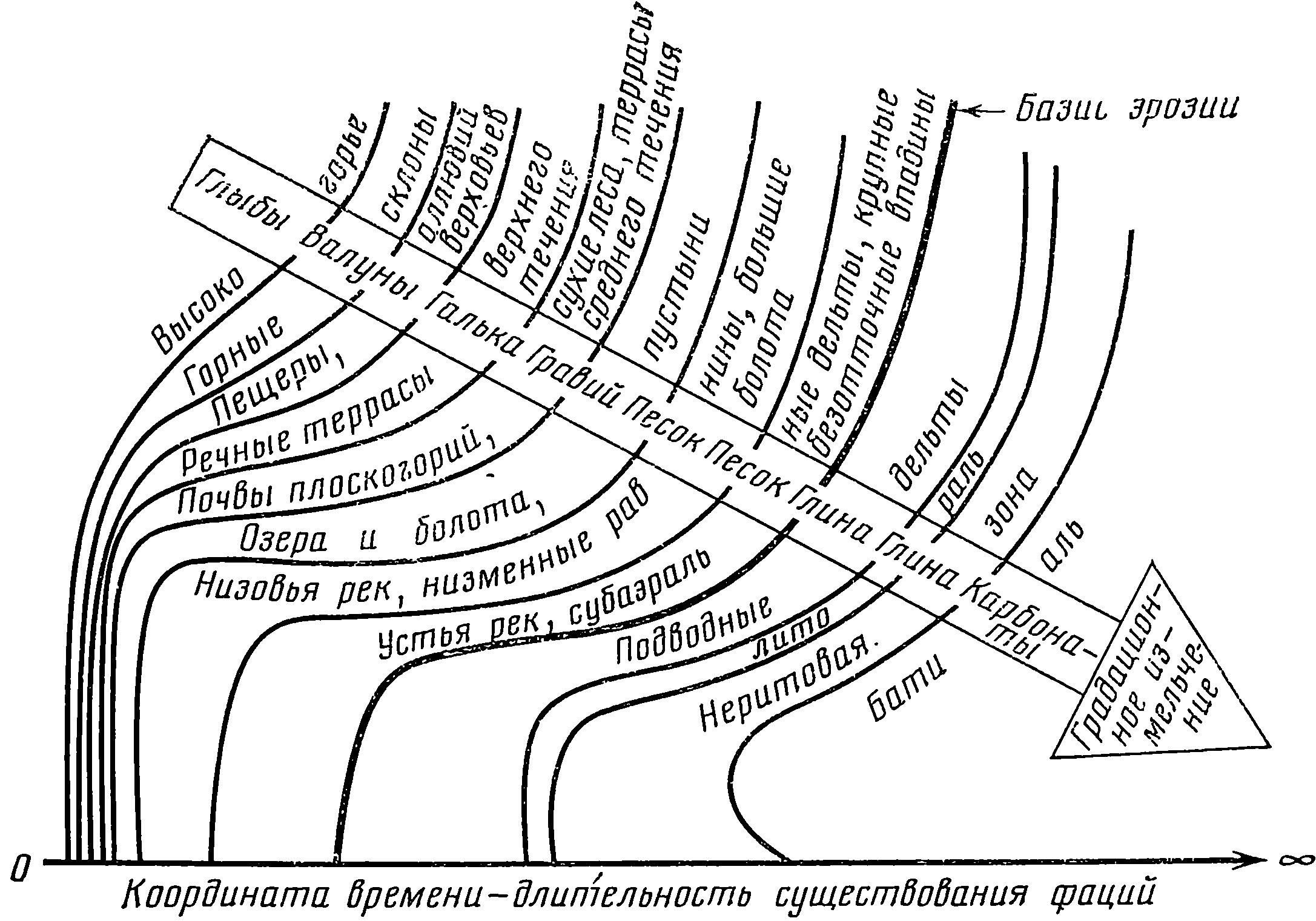 Схема распределения осадков по ступеням деструкции. Рис. И.А. Ефремова, 1950 г.