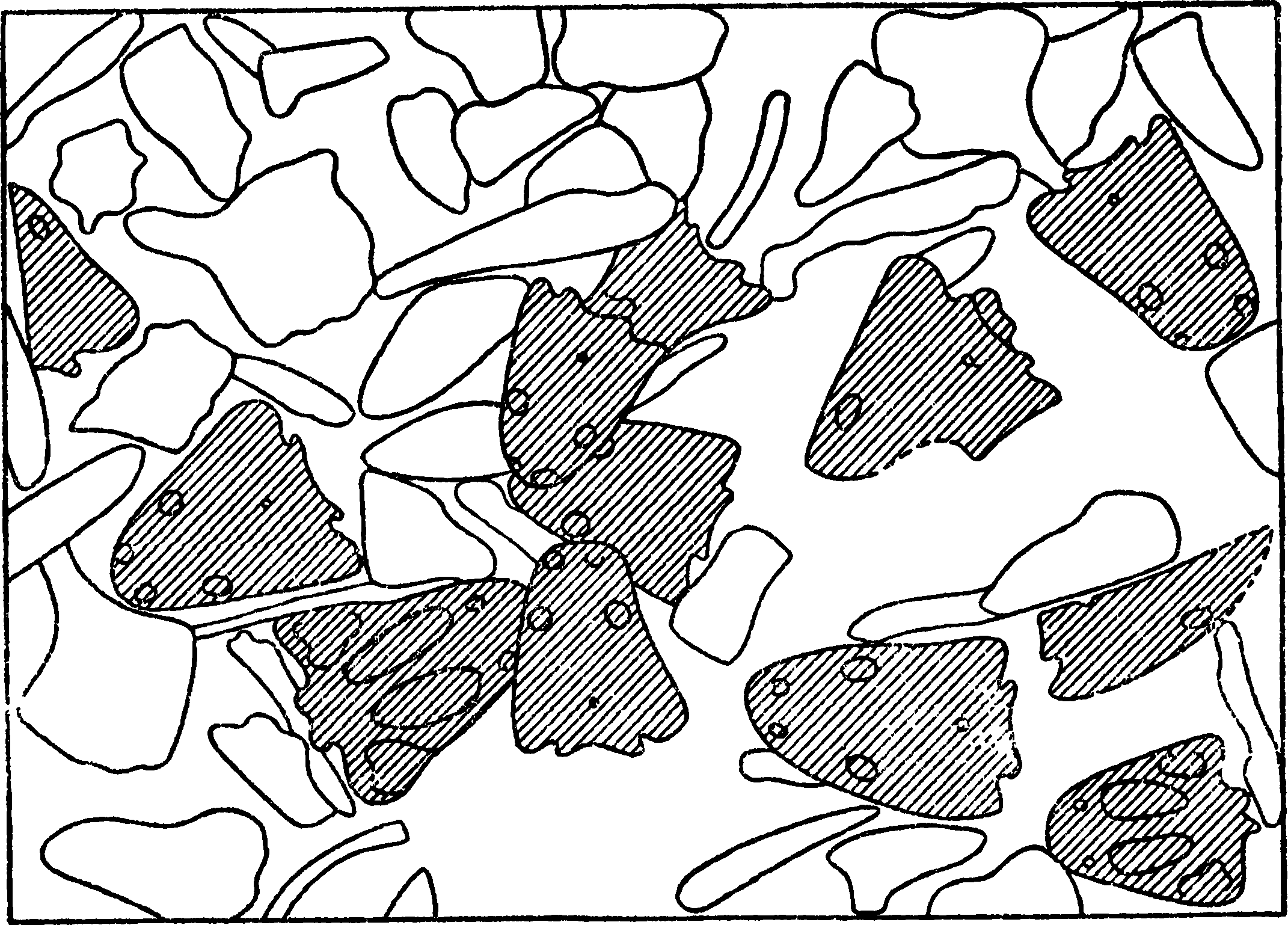 Рис. 15. Тип скоплении остатков крупных стегоцефалов (Buettneria), характерный для местонахождений V зоны в СССР и более высоких слоев триаса в Сев. Америке. Сильно уменьшено