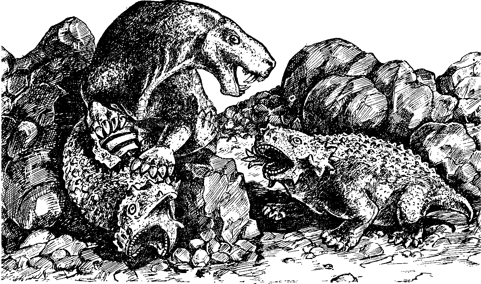 Зверообразный ящер иностранцевия нападает на крупных растительноядных животных парейазавров (Время Великих Озер на Северной Двине) — по рисунку А.П. Быстрова