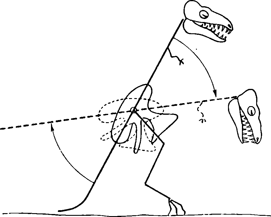 Схема способа нападения крупного карнозавра. Примерно 1/80 натуральной величины животного. Полная длина хвоста для уменьшения рисунка не показана