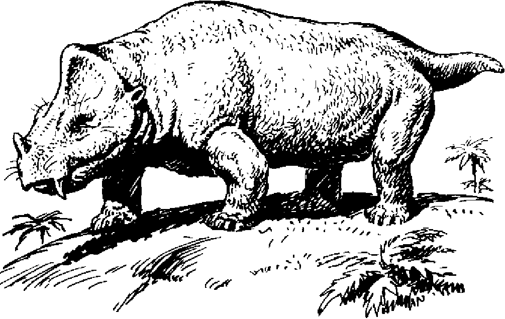 Каннемейероид робидозавр. Рисунок В.Д. Колганова