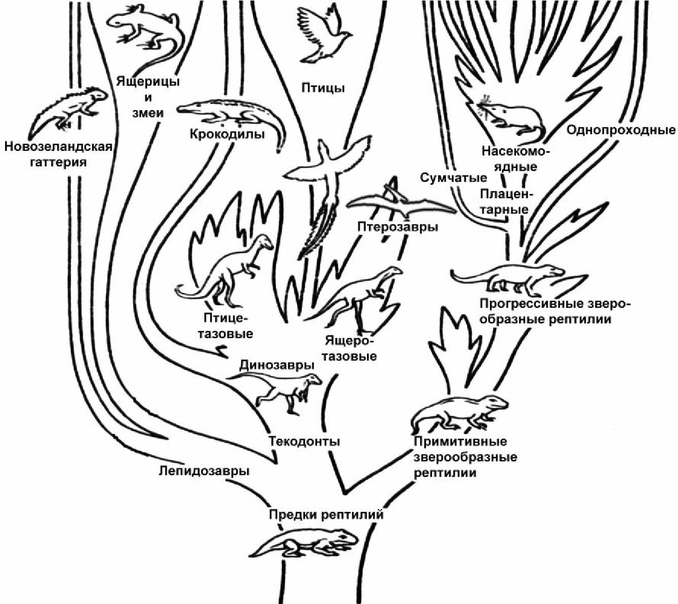 Родословные связи мезозойских рептилий и их потомков