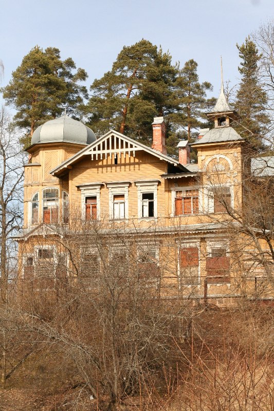 Причину прошлогоднего пожара в доме Ивана Ефремова в Вырице выяснит новая экспертиза
