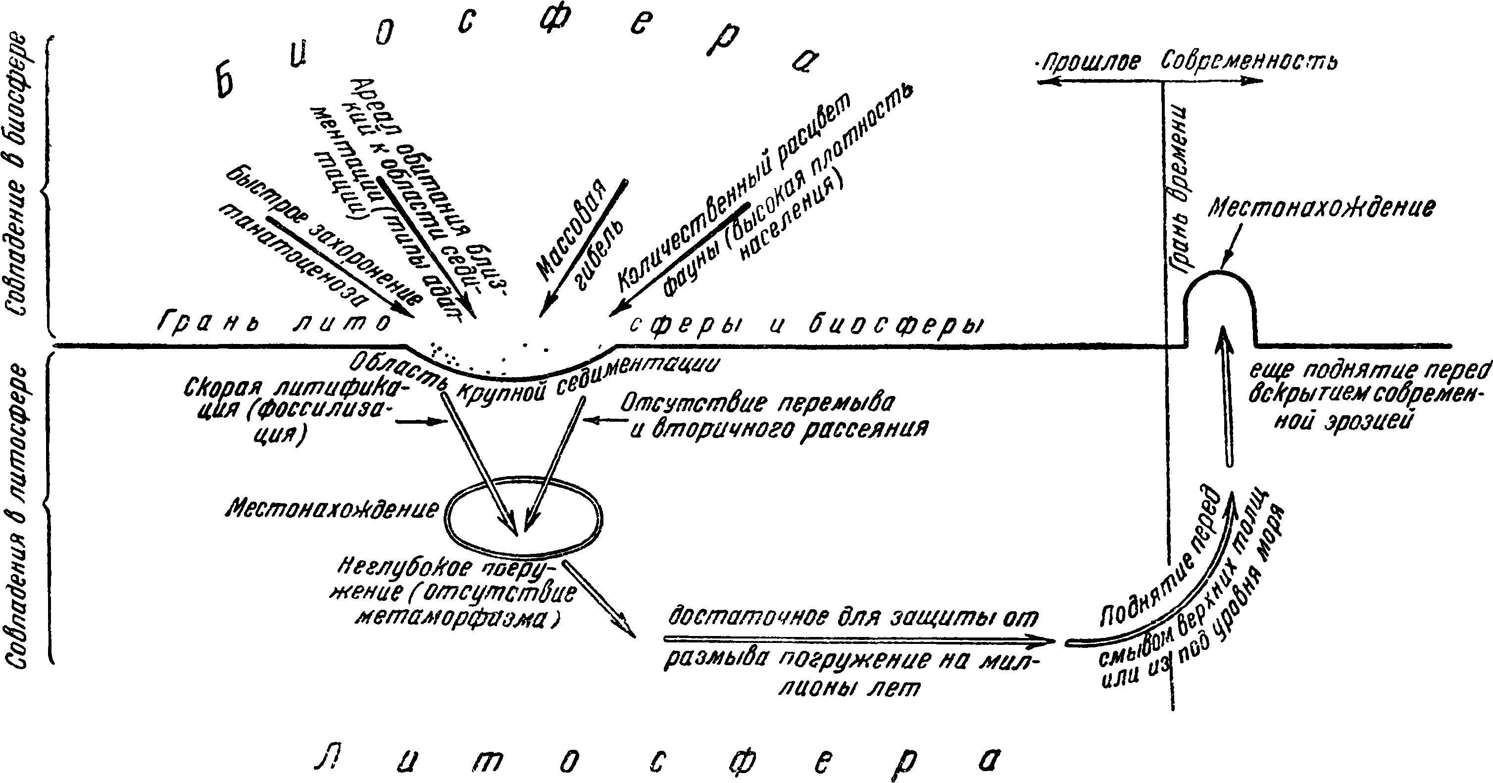 Рис. 34. Схема общего цикла образования местонахождений