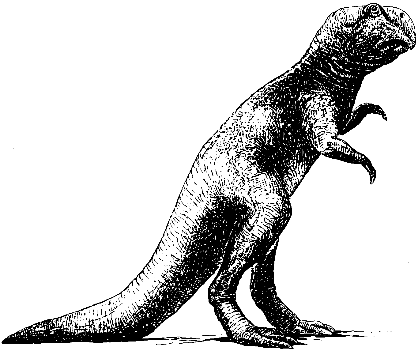 Рис. 28. Пситтакозавр. Реконструкция внешнего вида По Чжао Си-цзинь (1962), с изменениями
