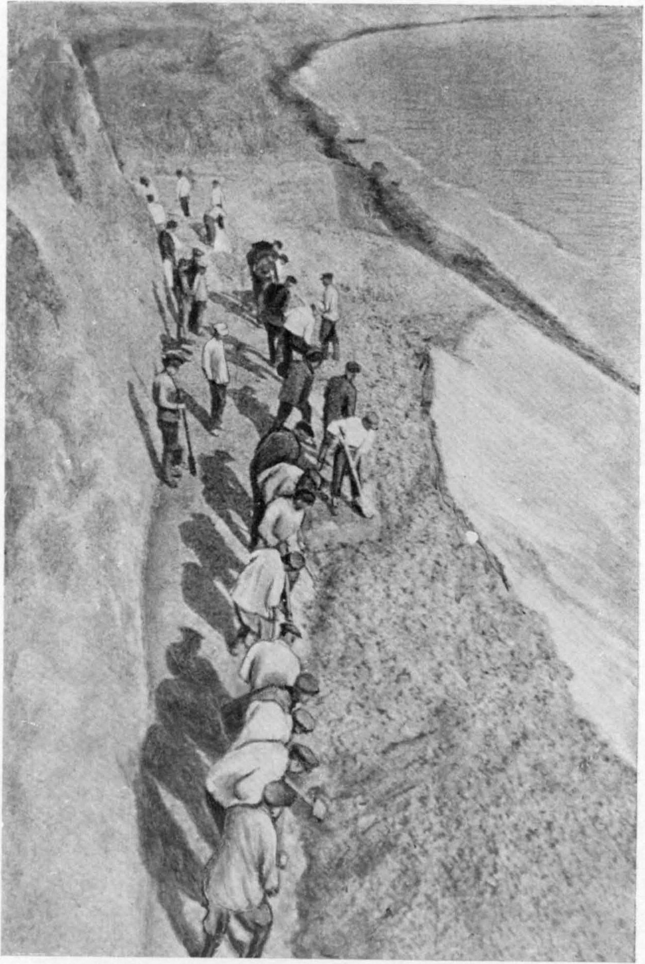 Рис. VI. Раскопки гиппарионовой фауны у Павлодара (1929 г.)