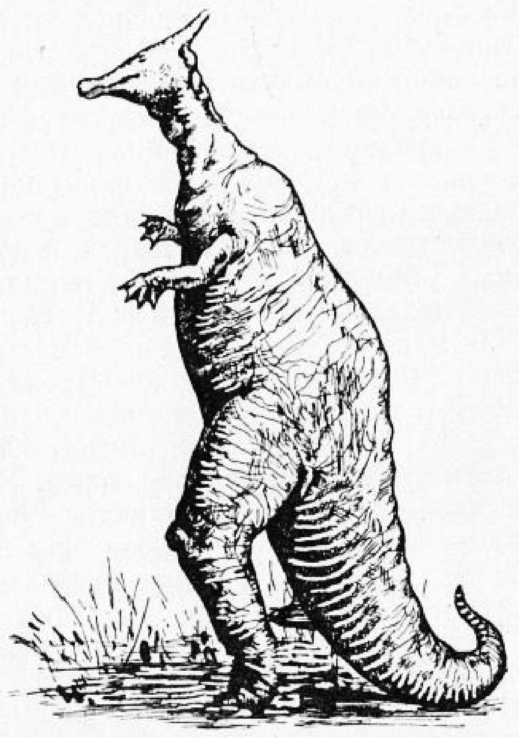 Травоядный ящер — зауролоф, обитатель Центральной Азии в позднемеловое время. Рисунок художника А.Б. Маслобоева